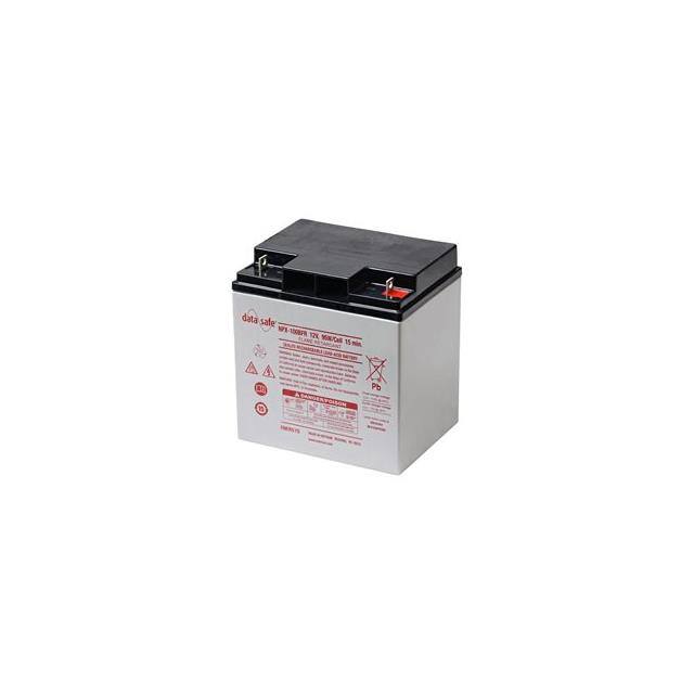 WW-TLCE-0-NPX-100B Replacement for Yuasa NPX-100B R