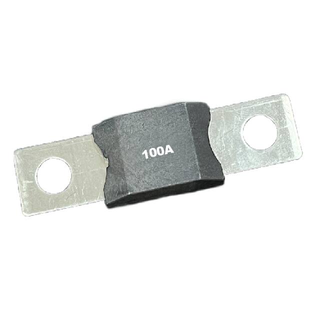 MGGA-100A-B LIMITER FUSE, TIME DELAY, 100A