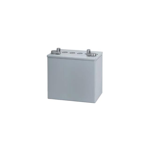 WX-1VZF-9-8G22NF Replacement for East Penn 8G22NF