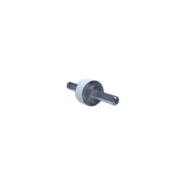 BF P100 230/20 BF P100 SERIES ISOLATING SPARK G