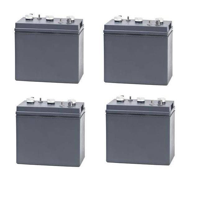 WW-ZFQL-5-TR 24 VOLTS 4 PACK Replacement for Tomcat Tr 24 Vol
