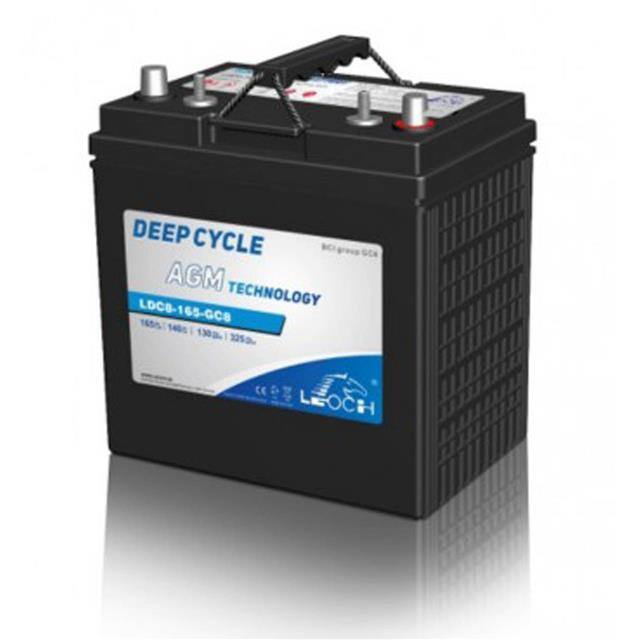 LDC8-165-GC8 Replacement for Leoch LDC8-165-G