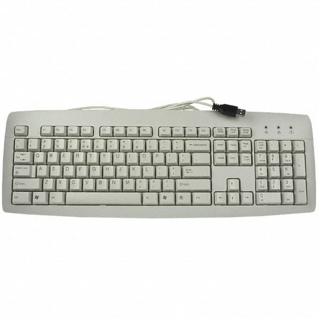 J8216001LUNEU0 KEYBOARD 104 KEY USB GRY