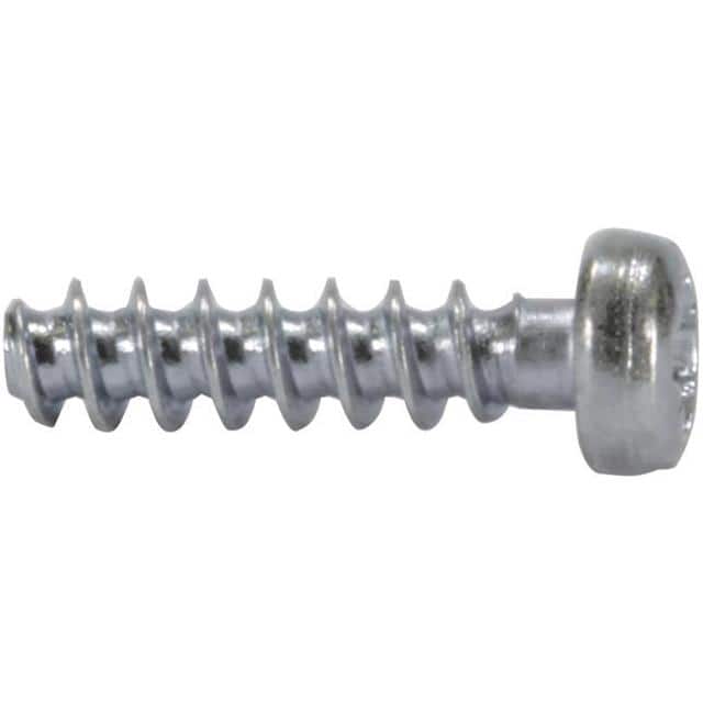 09060019974 DIN-POWER-SCREW FOR PLASTIC 2 2X