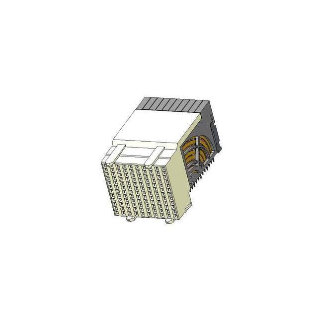 10135275-101LF VS2 4X10 RR SM G