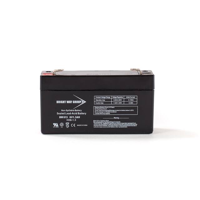 BW 613 6 VOLT 1.3 AH