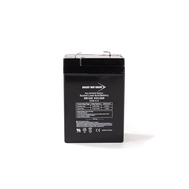 BW 645 6 VOLT 4.5 AH