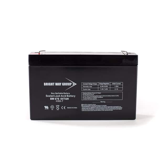 BW 670 6 VOLT 7AH