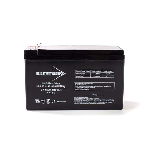 BW 1290 F2 12 VOLT 9 AH