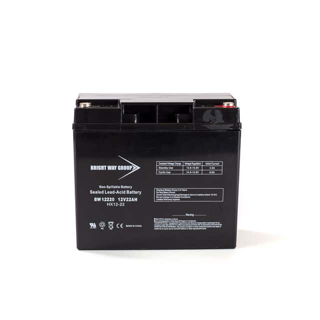 BW 12220 IT 12 VOLT 22 AH