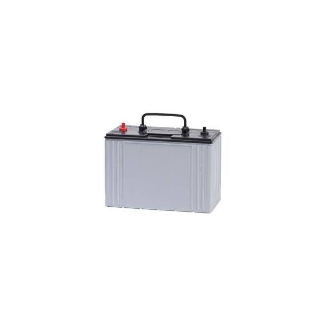 WX-1W06-1-9A31 Replacement for East Penn 9A31 R