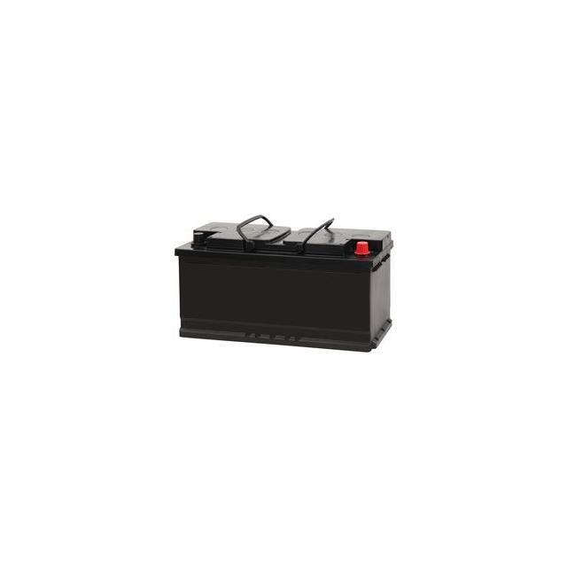 WX-1W0Q-4-9A95R Replacement for East Penn 9A95R