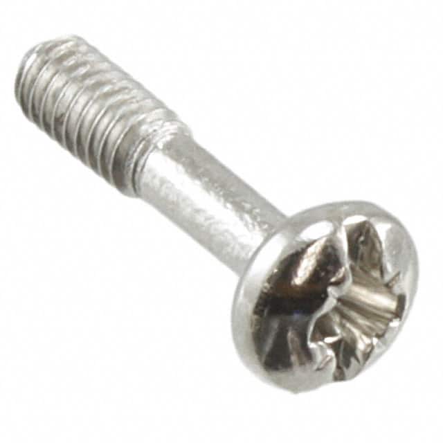 21100748 POZ SCREW M2.5X11 100 PCS