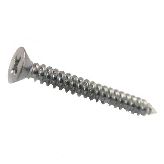 1599HTS100 HARDWARE - SCREWS 1=100 PCS