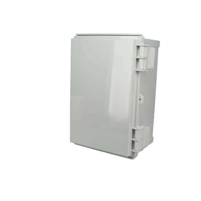 PTR-28487 HINGED ABS PLASTIC BOX PTR-28487