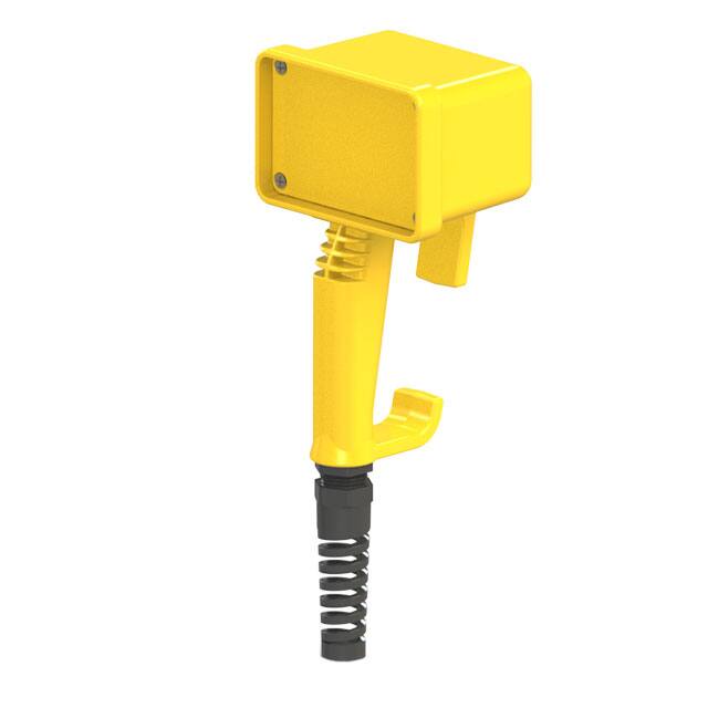 P24,YL PISTOL GRIP REMOTE ELECTRONIC EN