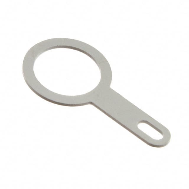 GCA.00.255.LT CONN EARTHING WASHER
