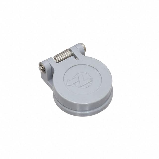 BRR.1S.200.PZVG CONN DUST COVER GRAY