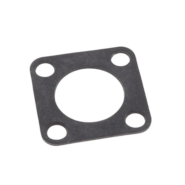 10-036675-010 ER 10S/10SL GASKET TYPE R