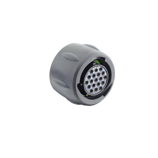 UTSX614E19SY PLUG, WITHOUT BACKSHELL, WITH 19