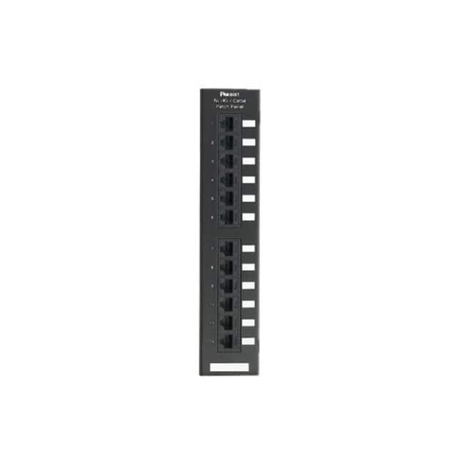 NK5EPPG12WY PATCH PANEL CAT5E 12PORT