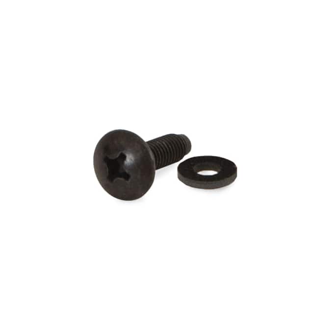 0100-1-012-01 10-32 RACK SCREWS W/WASHERS  (10