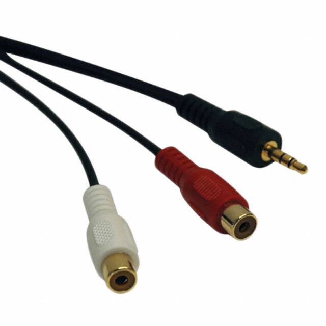 P315-006 Y SPLITTER 3.5MM M 2 RCA F 6'