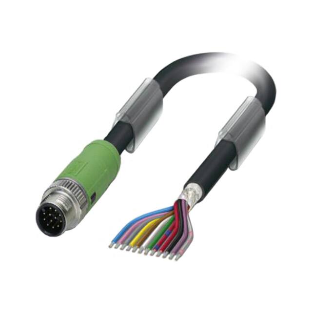 1430051 CBL 12POS MALE TO WIRE 9.84'