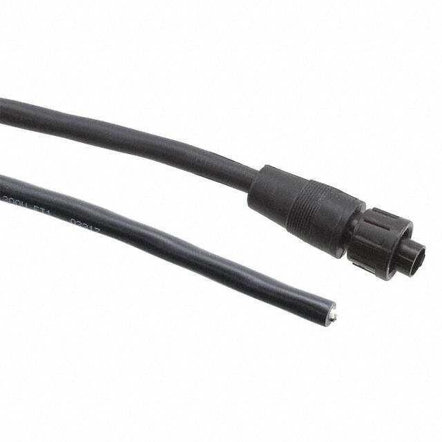 CA162802P07990 CBL 2POS MALE TO WIRE 6.58'