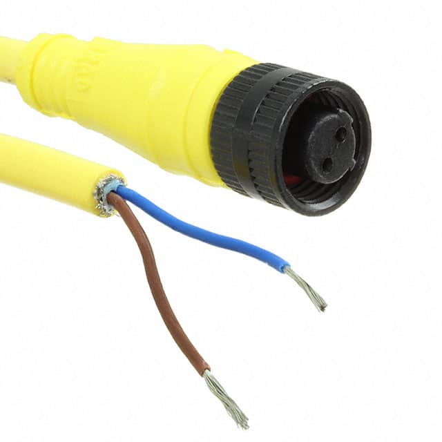 1200720061 CBL 2POS FMALE TO WIRE 6'