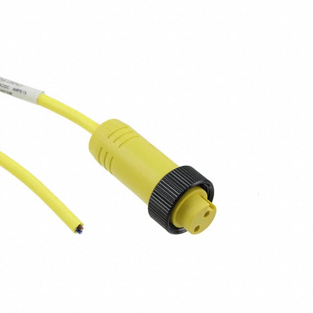 1416756 CBL 2POS MALE TO WIRE 16.4'