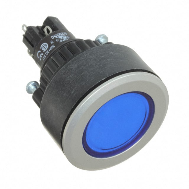 K14-131.221061 SWITCH PB DPST-NO/NC 5A 250V
