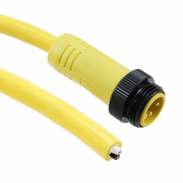 1416768 CBL 2POS MALE TO WIRE 16.4'