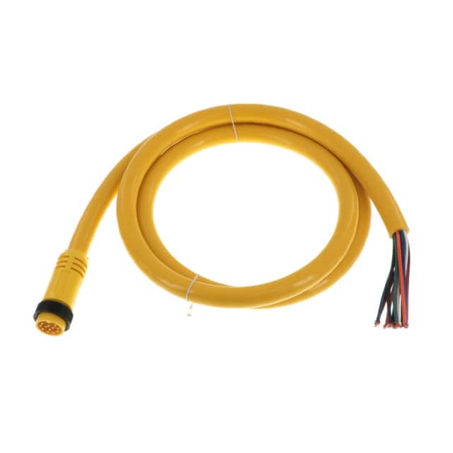 1300080231 CBL 12POS MALE TO WIRE 6'