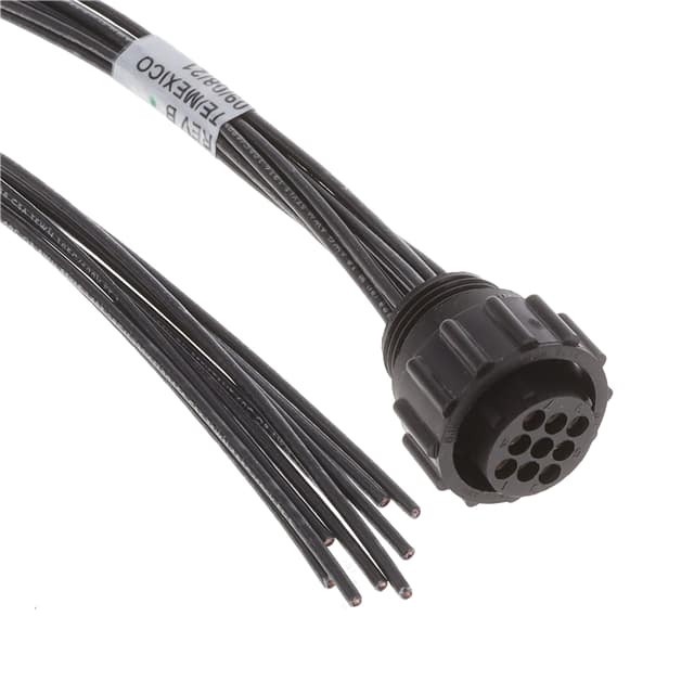 2387116-1 CBL CIRC 9POS FEM 1.64'