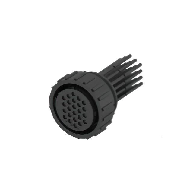 2387126-2 CBL CIRC 24POS FEM 3.28'
