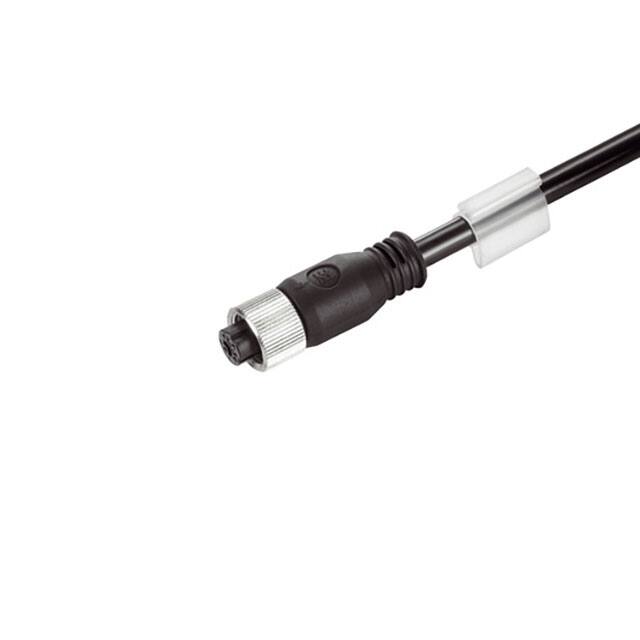 1309850050 CBL 4POS FMALE TO WIRE 16.4'