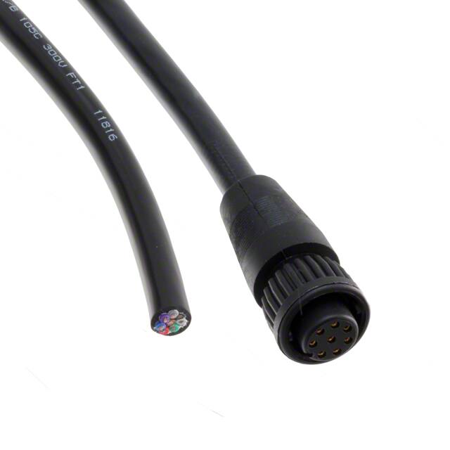 CA62808S07990 CBL 8POS FMALE TO WIRE 6.56'