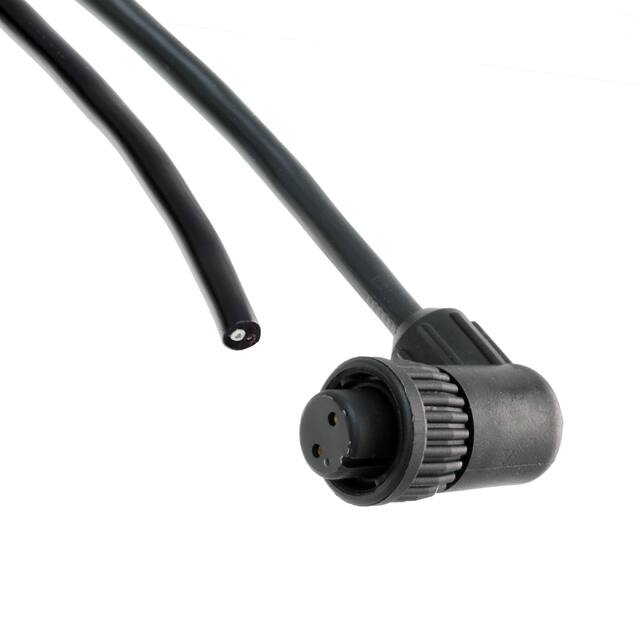 CARA62802S07990 CBL 2POS FMALE TO WIRE 6.56'