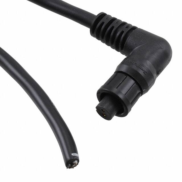 CARAEN2C2F07990 CBL 2POS FMALE TO WIRE 6.56'