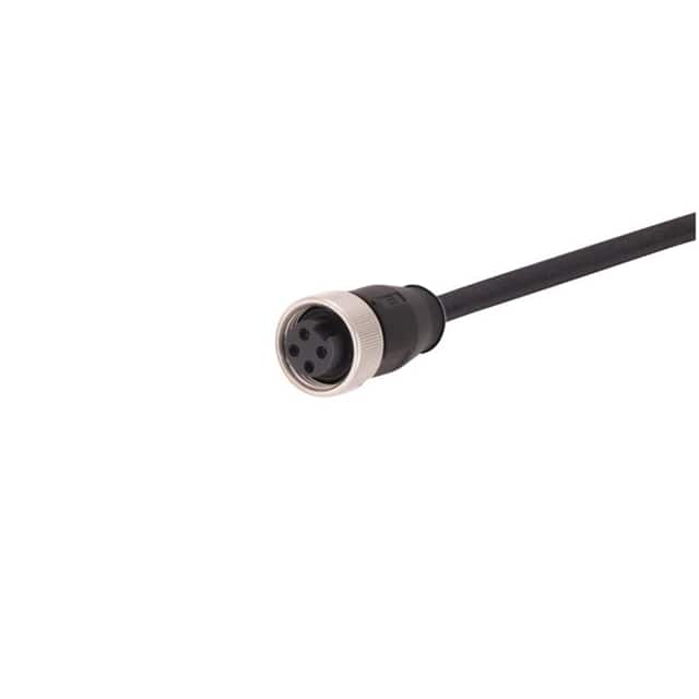 21349700496100 CBL 4POS FMALE TO WIRE 32.8'