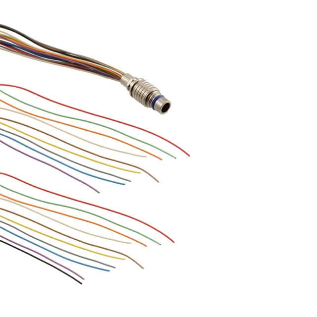 QCM019PC2DC024B CBL 19POS MALE TO WIRE 2'