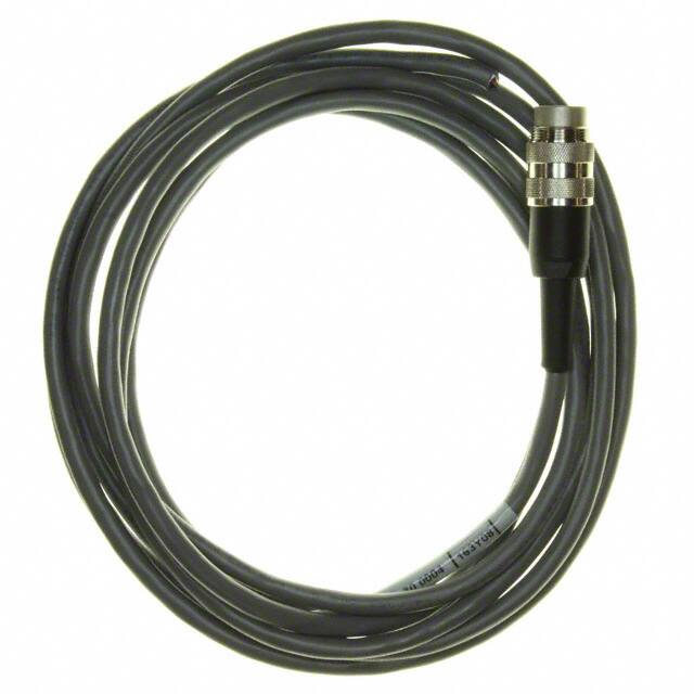 CA 091 70 0004 CBL 5POS MALE TO WIRE 10'