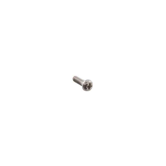 0895069800 SCREW,RAW,PAN HEAD,3/16 LONG WIT