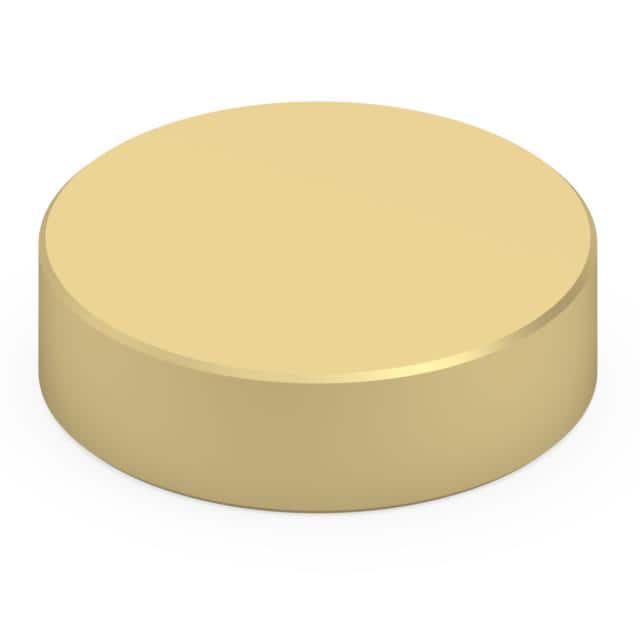1656-2-57-15-00-00-03-0 .156" DIAMETER TARGET DISC