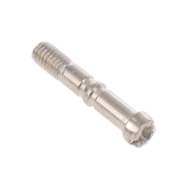 1731120255 FCT SCREW M3 17.5 NI