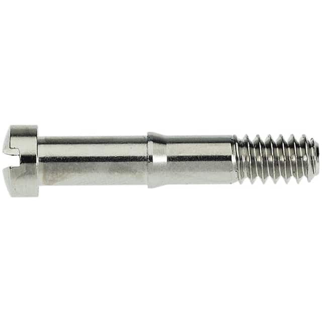 09670029009 SHORT LOCKING SCREW M3