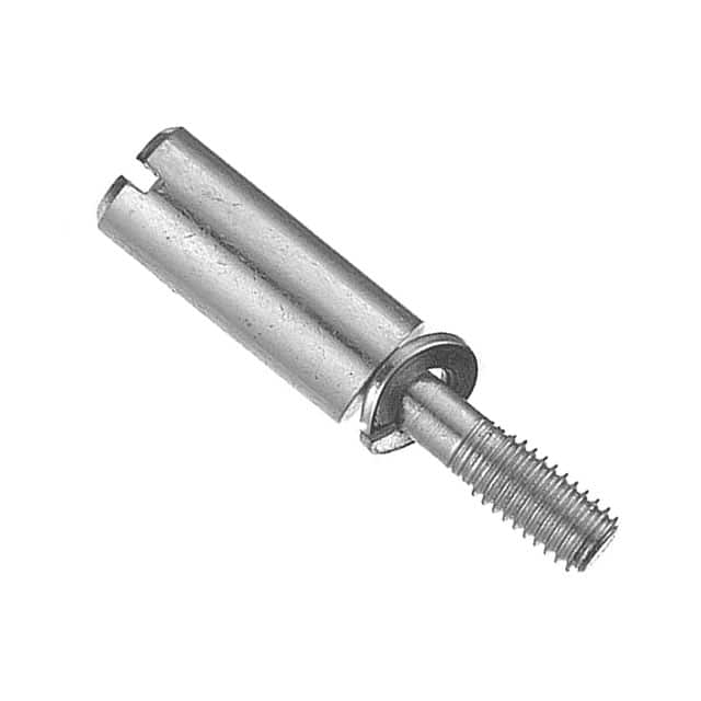 VN170500004101 KEY PIN WITH LOCK WASHERS