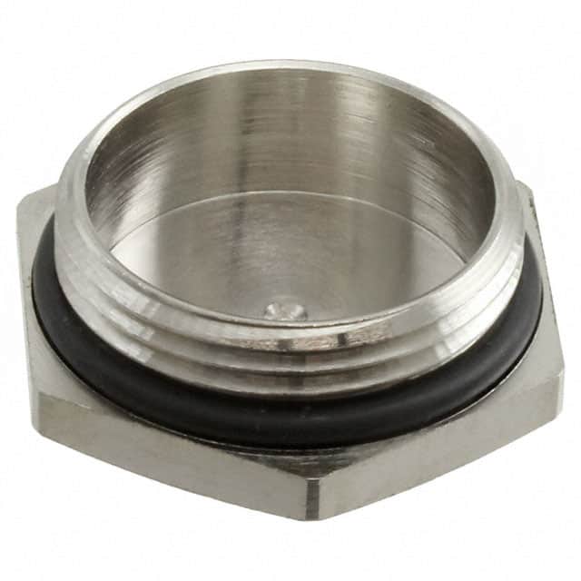 19000005071 ACCES. BLANKING PIECE M25X1.5