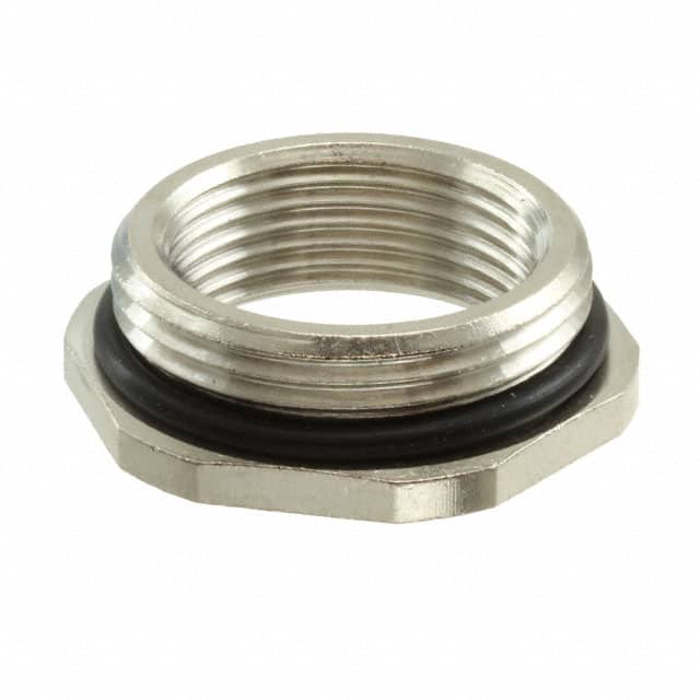 09000005066 ACCES REDUCER PG 21-16 WITH O-R